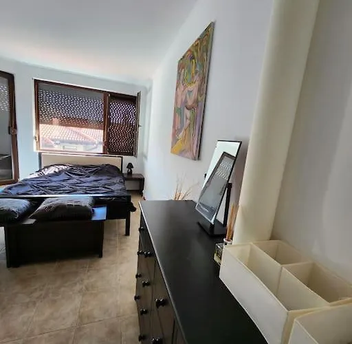 Bay View Sunny Entire Kosharitsa